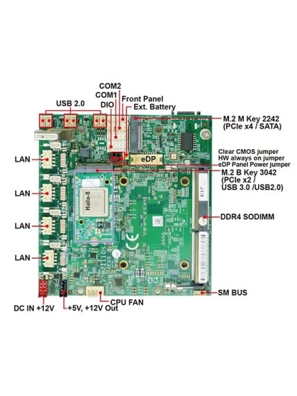 Lex System 2I110H + Hailo-8™ AI - Compact Single Board Computer, Intel Tiger Lakeup3 + Hailo8 3