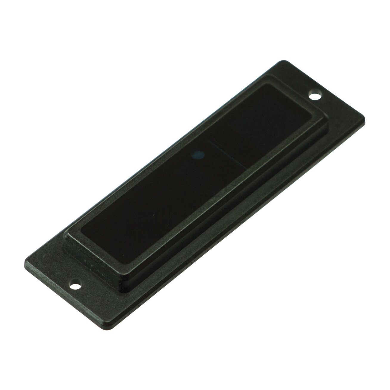 Pepperl+Fuchs Flush Mounting AIR30 (244262) TTA priedai