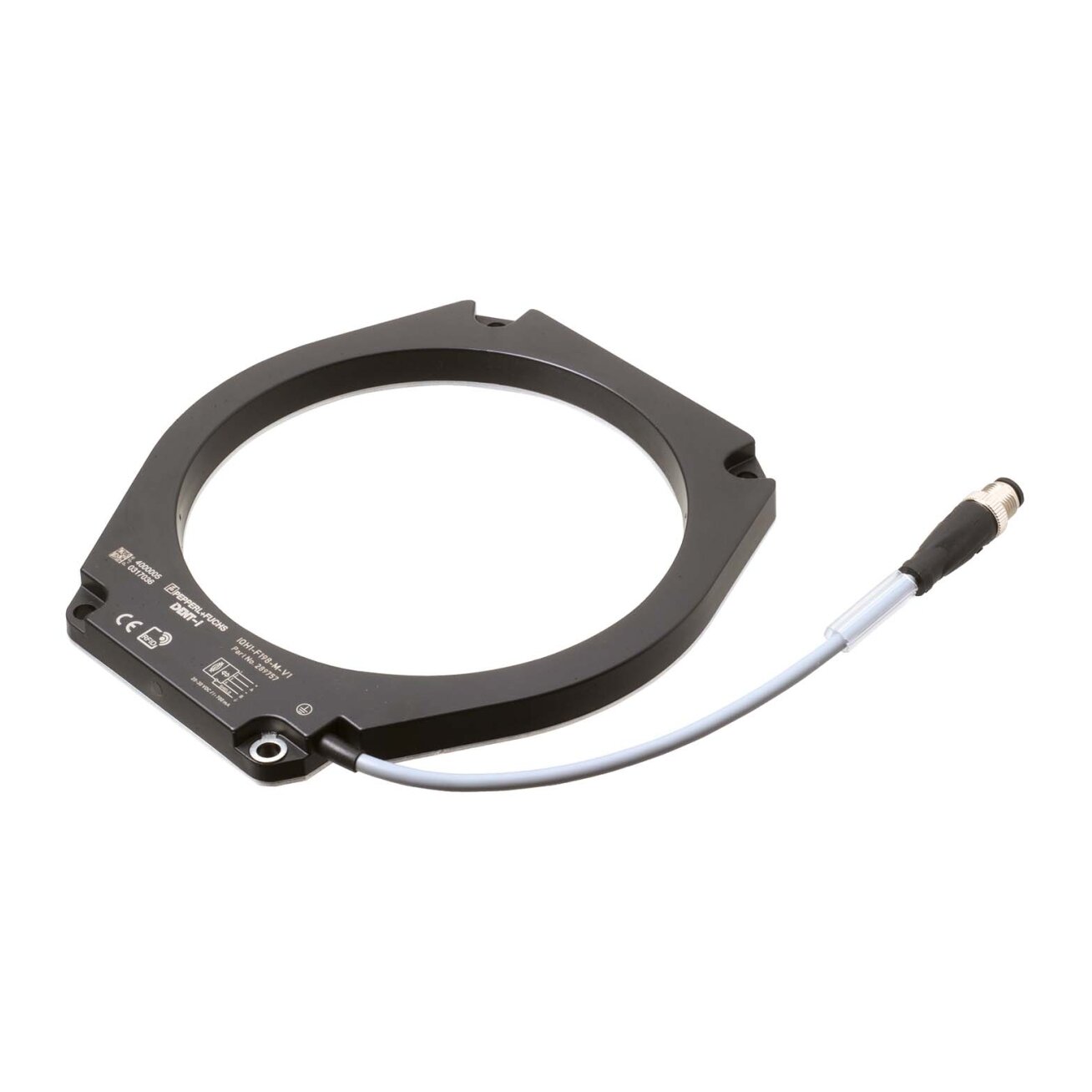 Pepperl+Fuchs IQH1-F198-M-V1 (289757) RFID skaitytuvas