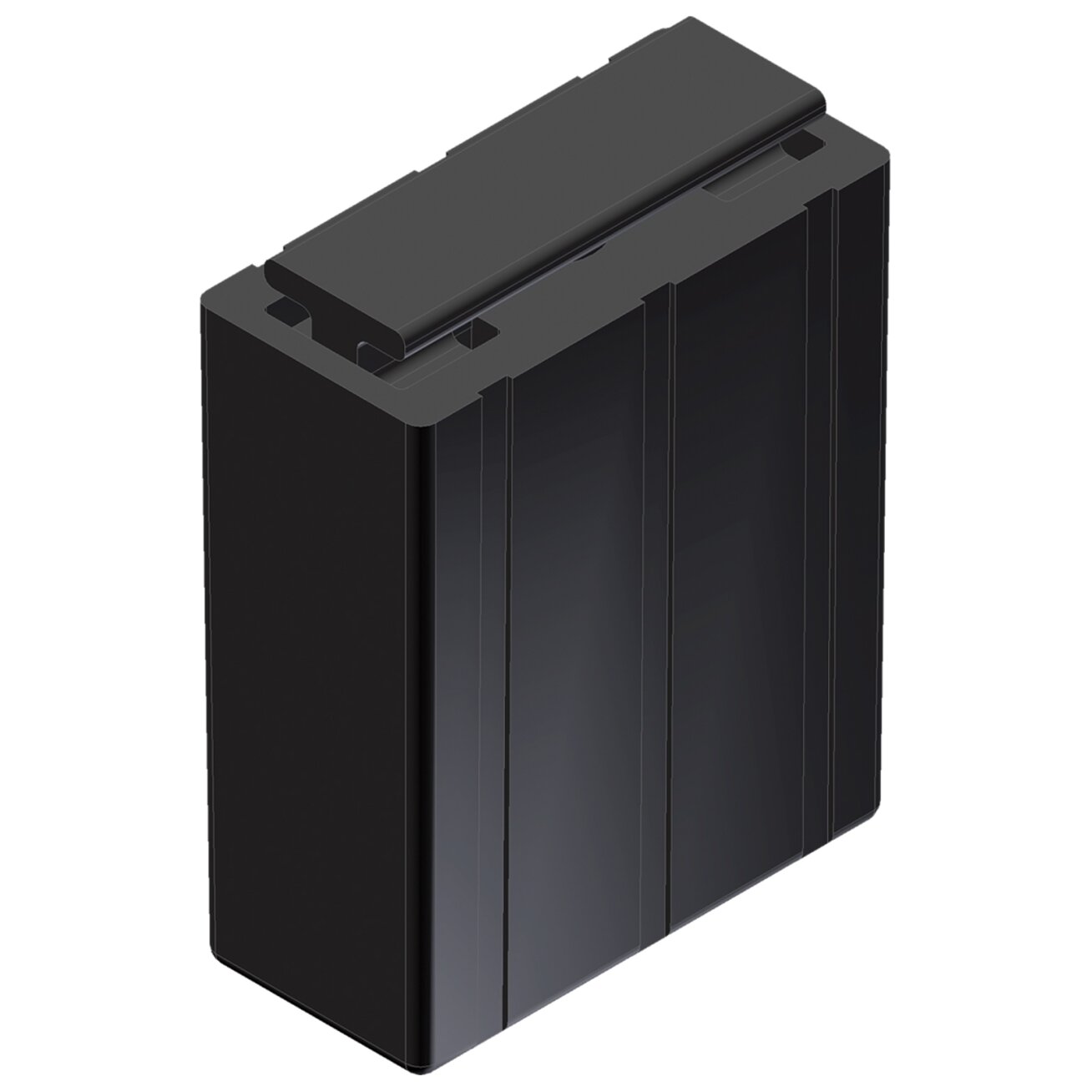Pepperl+Fuchs RAS20 2pcs (64315296) Galinis stabdiklis