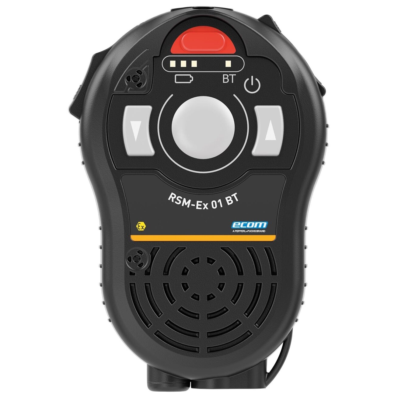 Pepperl+Fuchs RSM-EX01B..-Z2EUR-1BBLESCST (480984-100055) RSM 01
