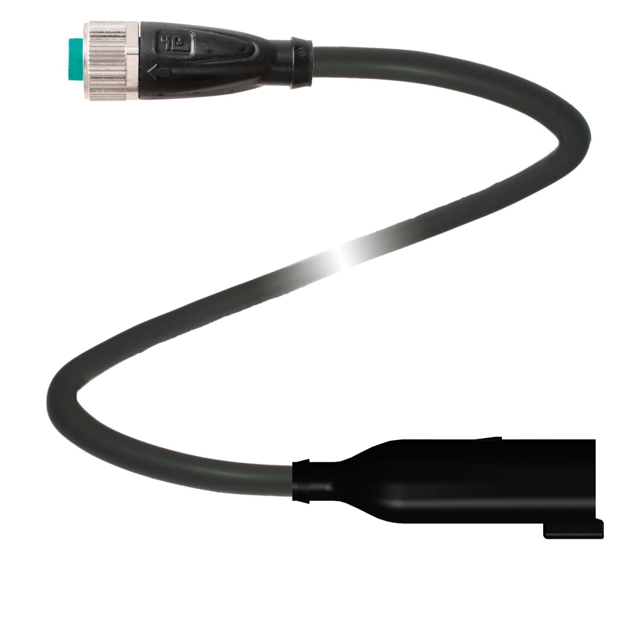 Pepperl+Fuchs V1-G-BK0,3M-PUR-O1-DT4P-G (305187) Ilginamasis kabelis