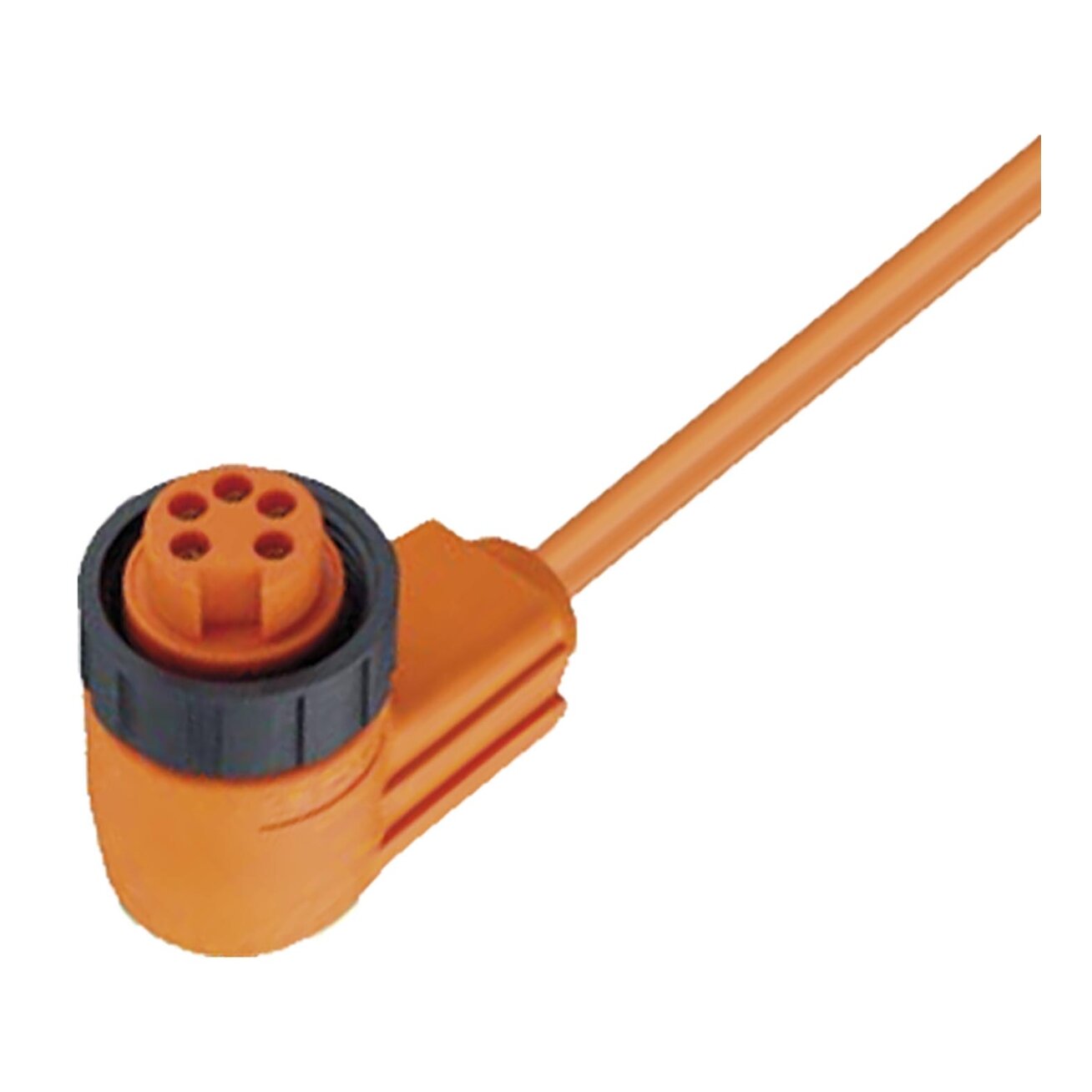 Pepperl+Fuchs V95-W-5M-PVC (194168) Kabelio lizdas