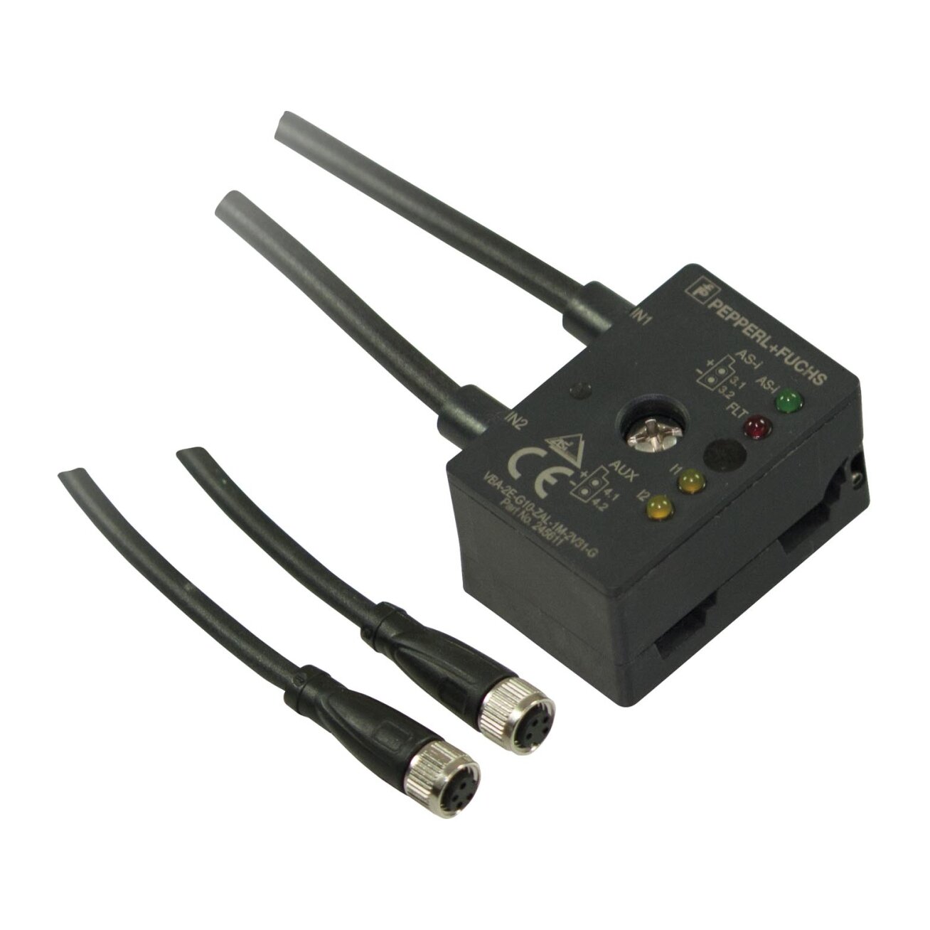 Pepperl+Fuchs VBA-2E-G10-ZAL-1M-2V31-G (245611) AS-i kompaktiškas modulis