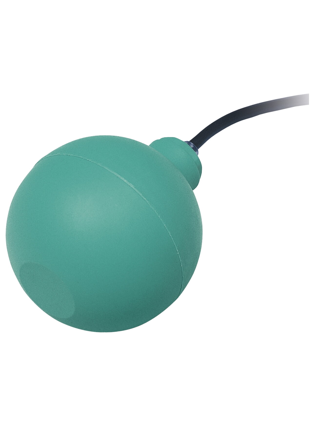 Pepperl+Fuchs LFL2-BK-U-PUR5-EMS (262202) Float switch