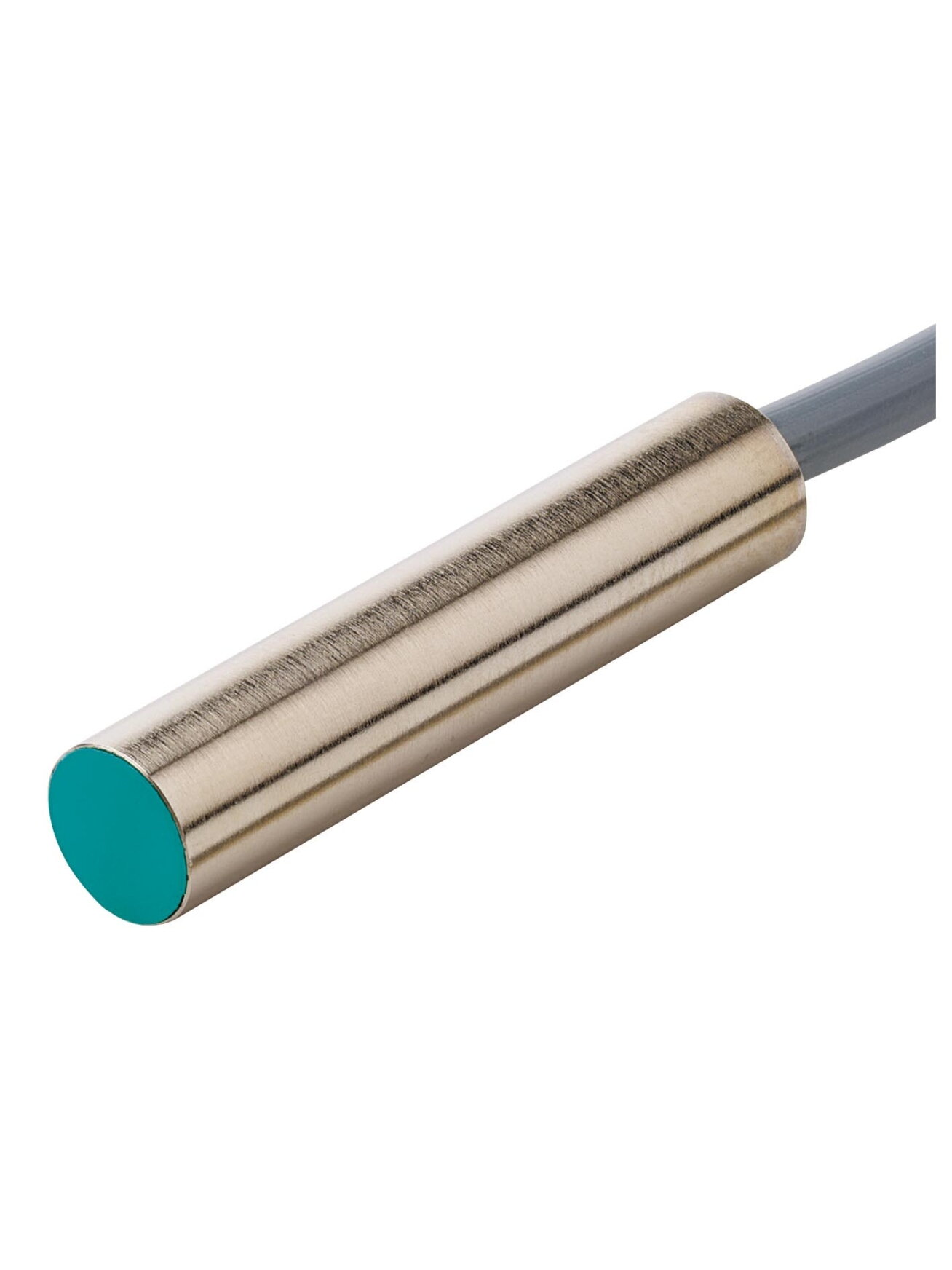 Pepperl+Fuchs NBB2-6,5M30-E2-5M (304615-0009) Inductive sensor