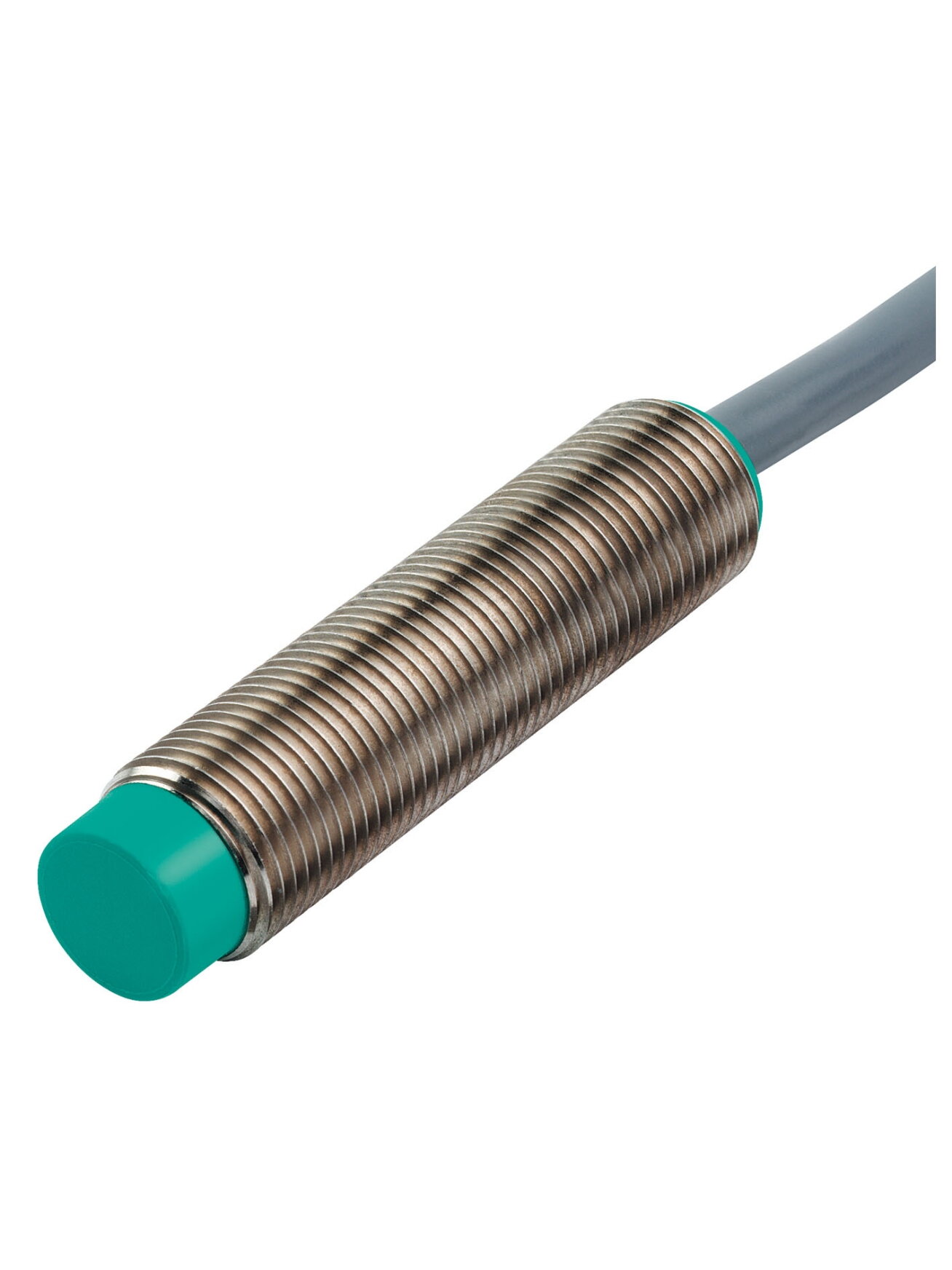 Pepperl+Fuchs NEN10-12GM50-E2 (231719) Inductive sensor