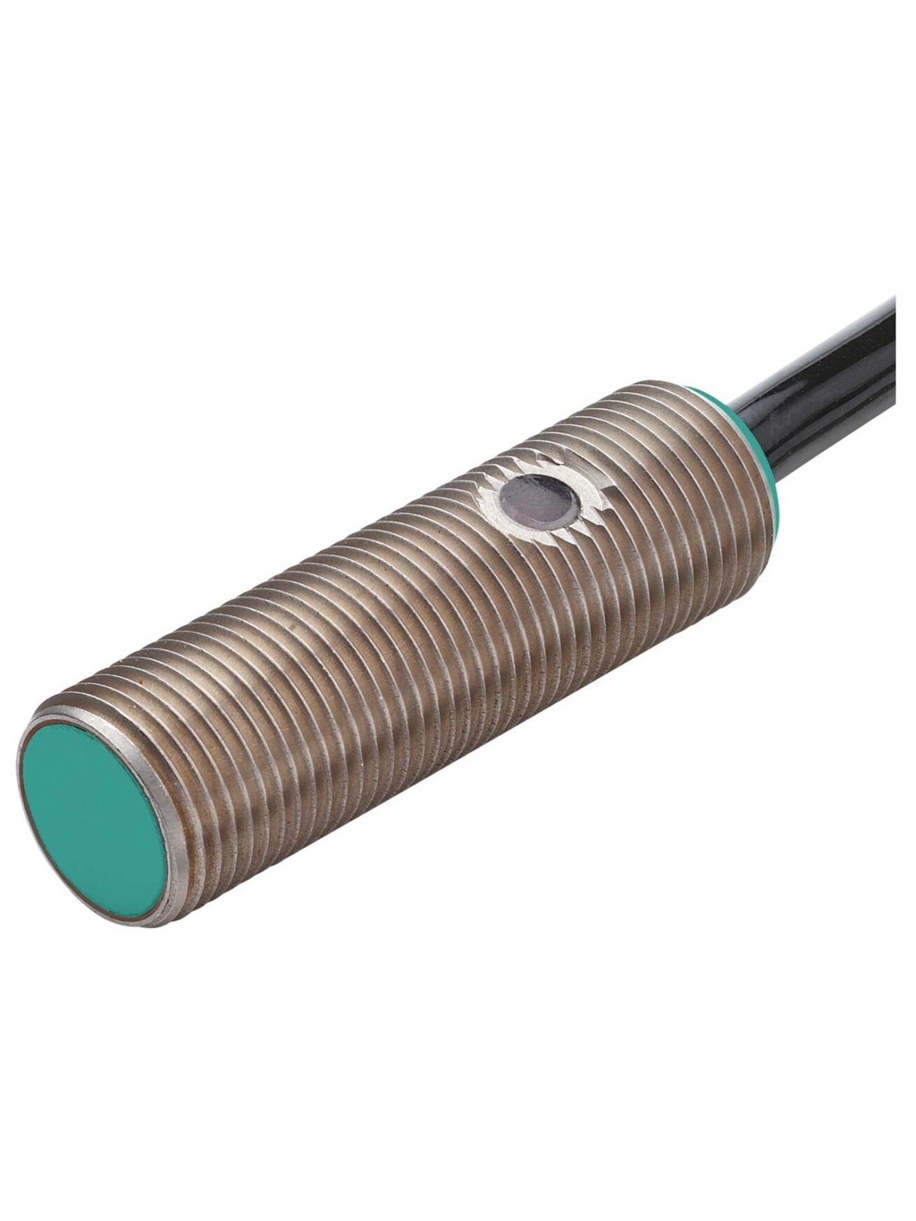 Pepperl+Fuchs NJ2-12GM40-E2-10M (282941) Inductive sensor