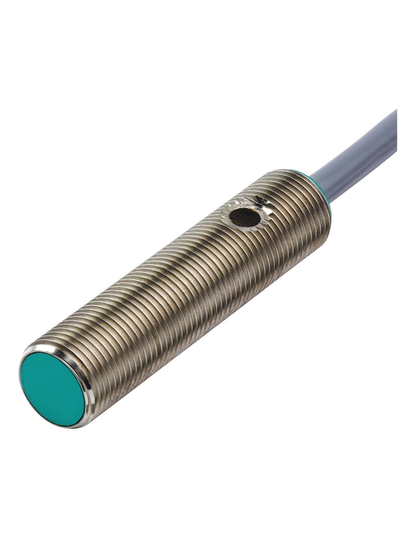 Pepperl+Fuchs NJ2-12GM50-WS (025998) Inductive sensor