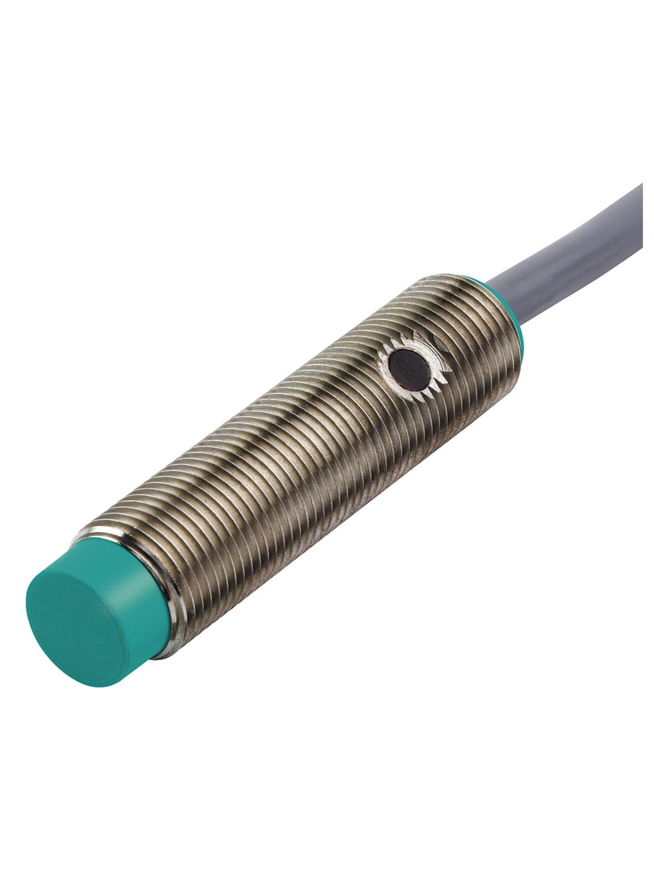 Pepperl+Fuchs NJ4-12GM50-WS-10M (027143) Inductive sensor