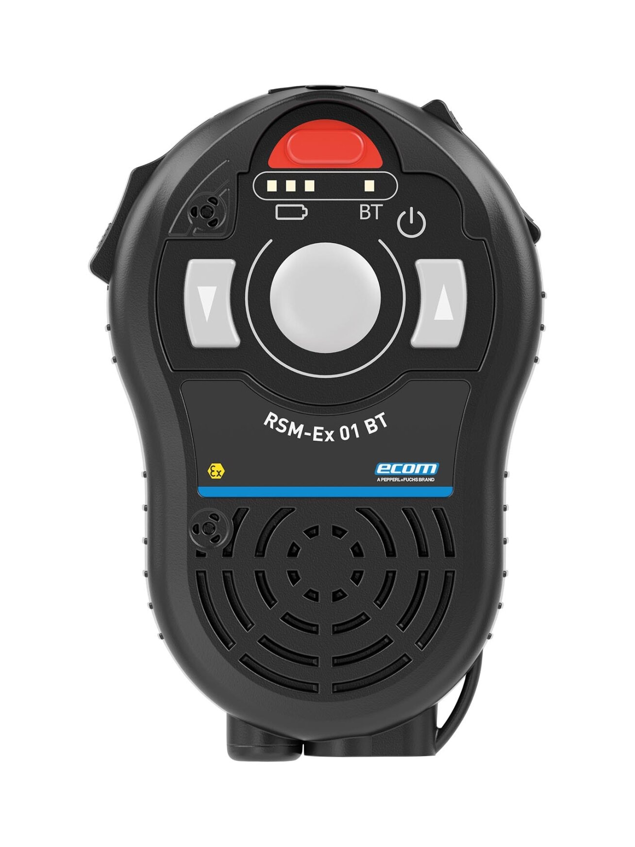 Pepperl+Fuchs RSM-EX01B..-Z0EUR-1BBLESCST (480984-100054) RSM 01