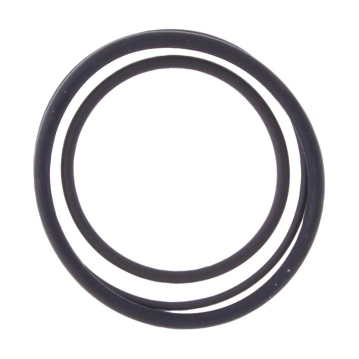 Pepperl+Fuchs Seal kit for Lite-Ex PL 30* (482132) Sandariklių rinkinys